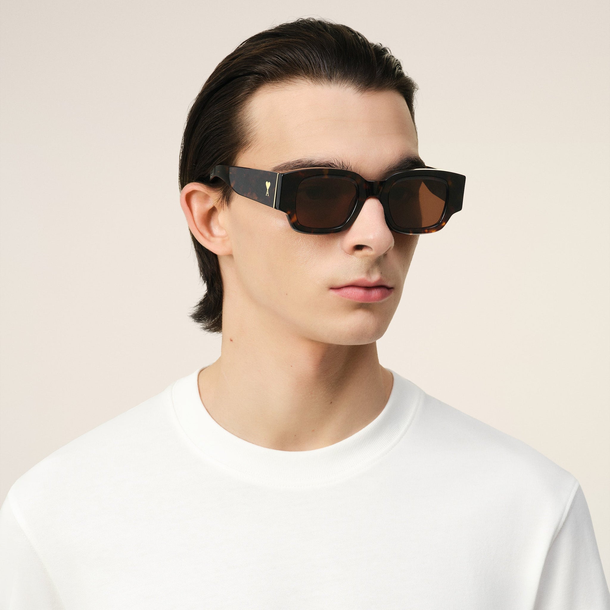 Brown 75001 Sunglasses