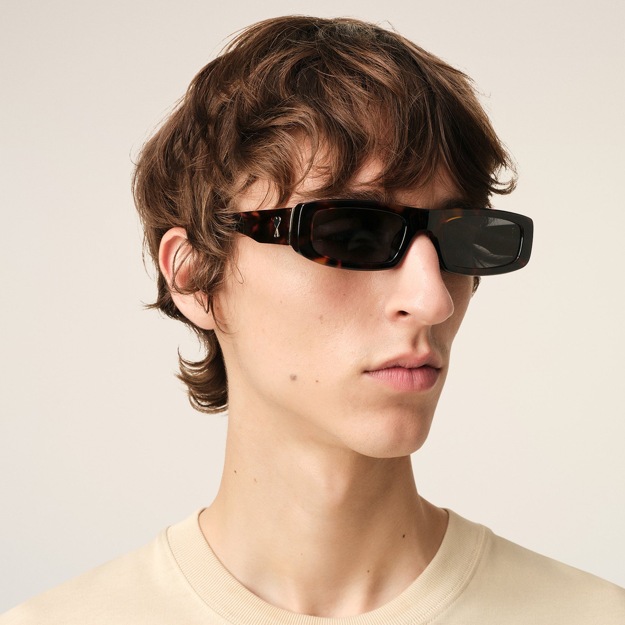 Brown 75010 Sunglasses