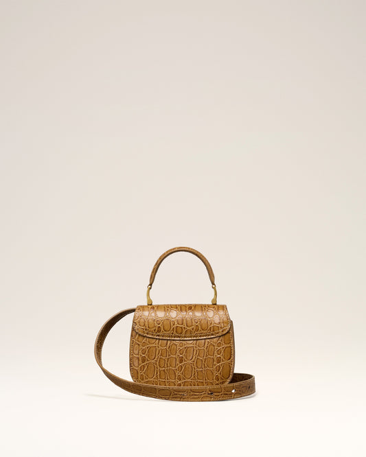 Brown Leather Paris Paris Nano Bag